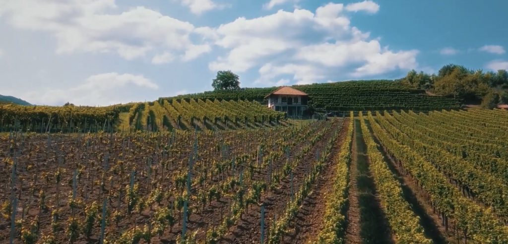 vila vinogradara, smestaj u vinariji